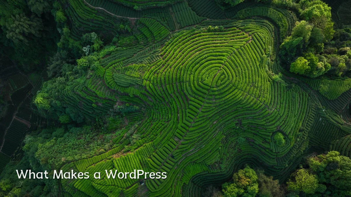 What Makes a WordPress